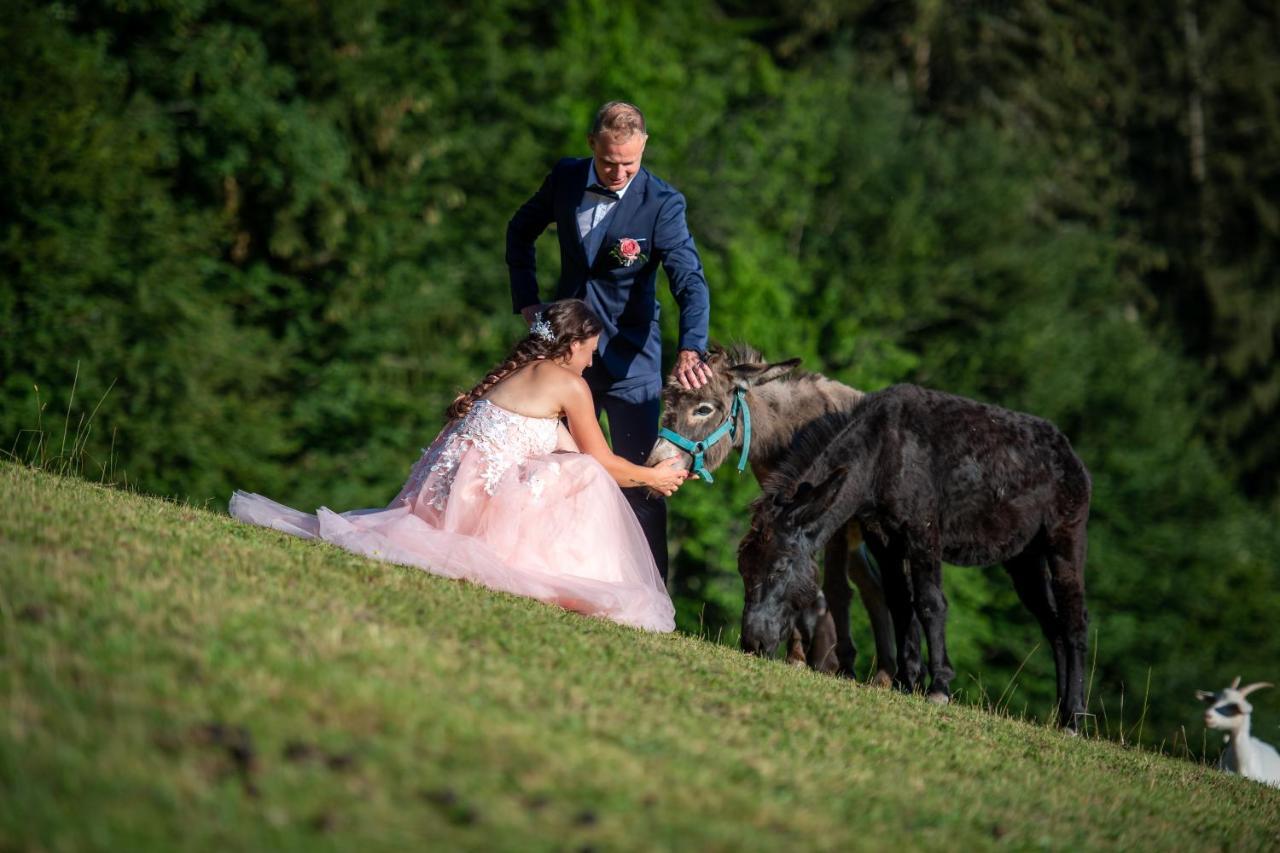 Domacija Za Robom Lägenhet Cerkno Exteriör bild