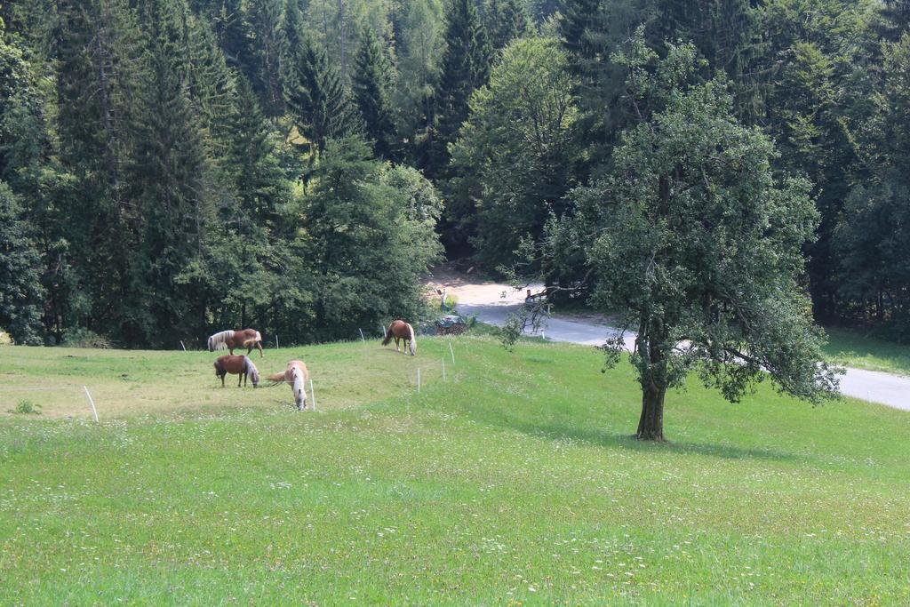 Domacija Za Robom Lägenhet Cerkno Exteriör bild