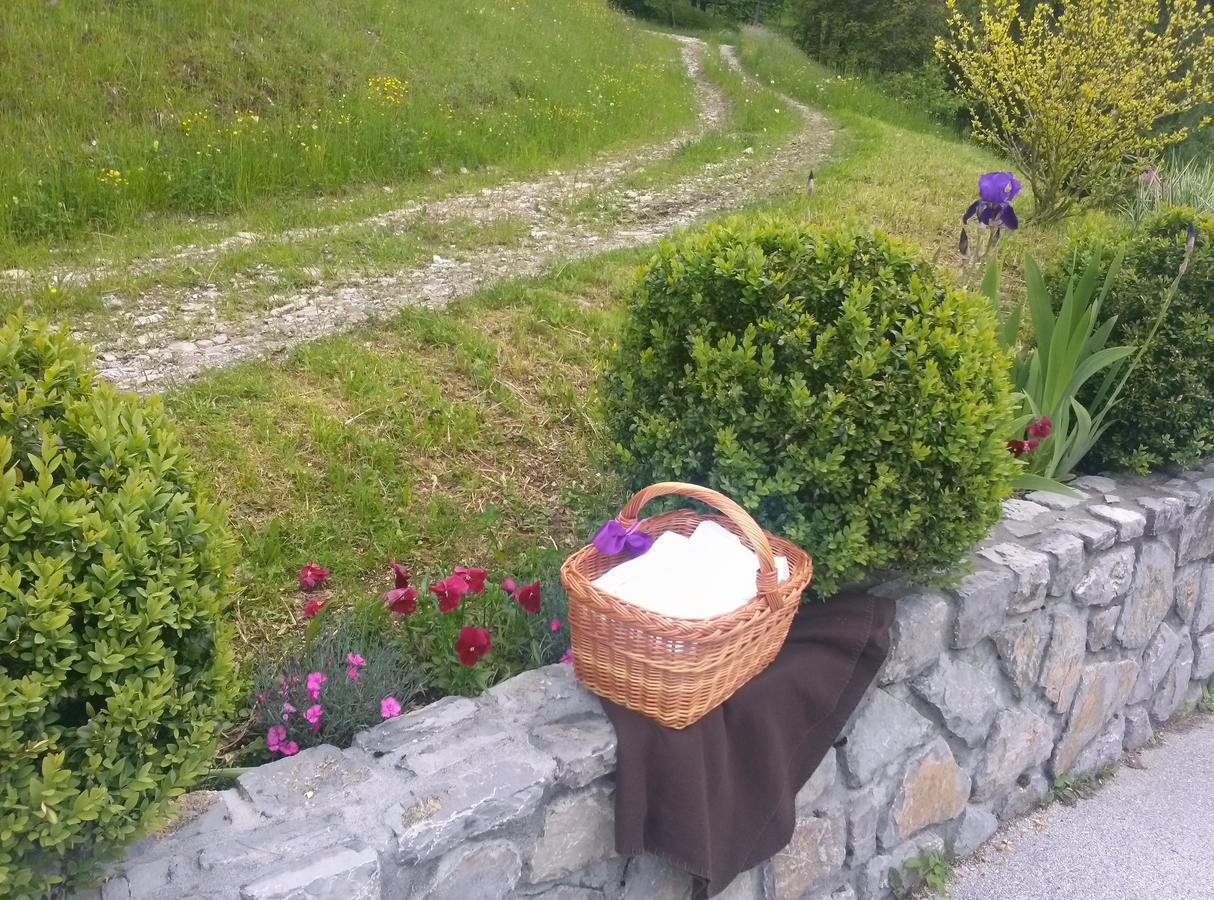 Domacija Za Robom Lägenhet Cerkno Exteriör bild