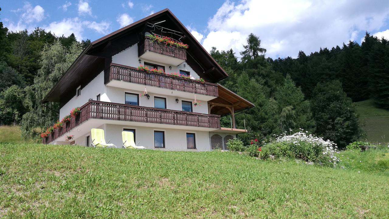 Domacija Za Robom Lägenhet Cerkno Exteriör bild