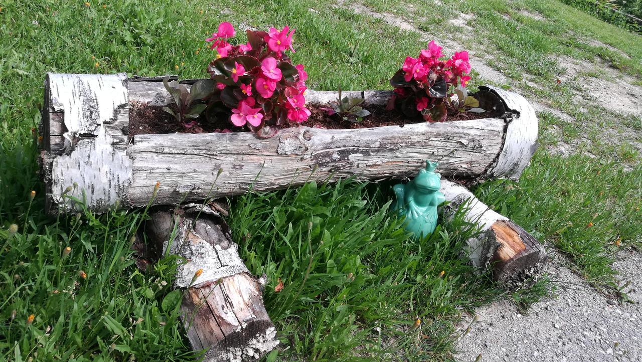 Domacija Za Robom Lägenhet Cerkno Exteriör bild